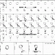 SPECT - Bilddarstellung (6)